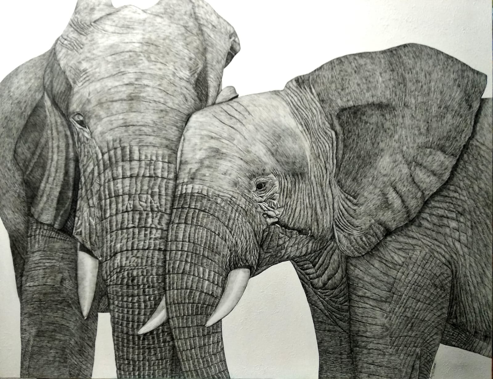 Strength and Tenderness